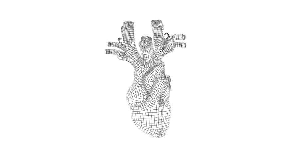 HUMAN HEART Low-poly 3D model 3D model_4