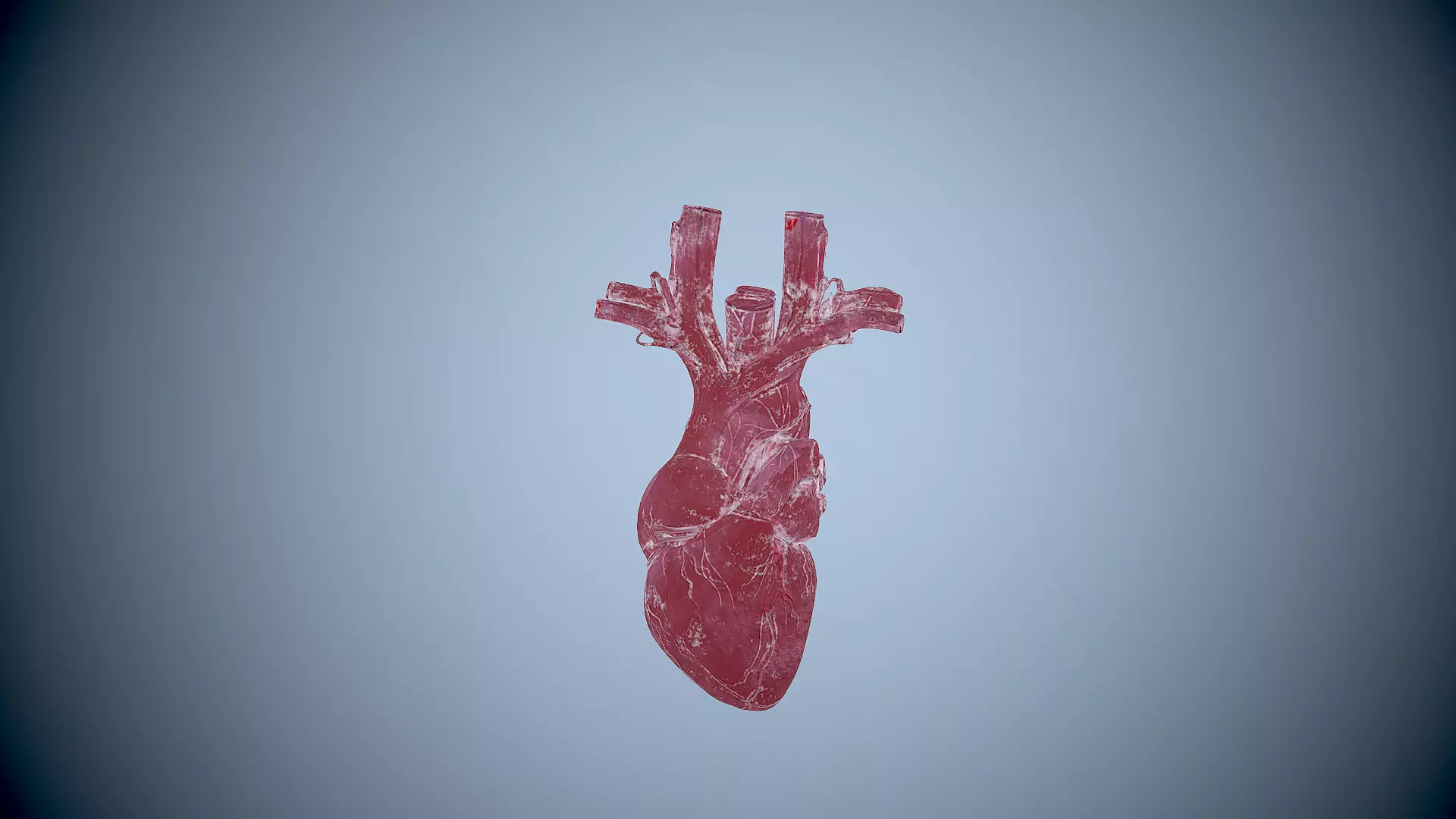 HUMAN HEART Low-poly 3D model 3D model_0