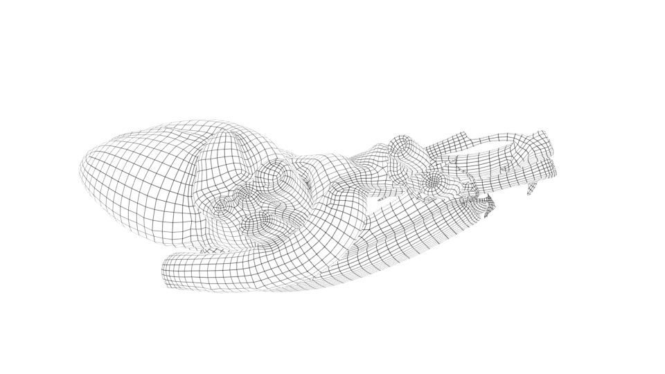 HUMAN HEART Low-poly 3D model 3D model_6
