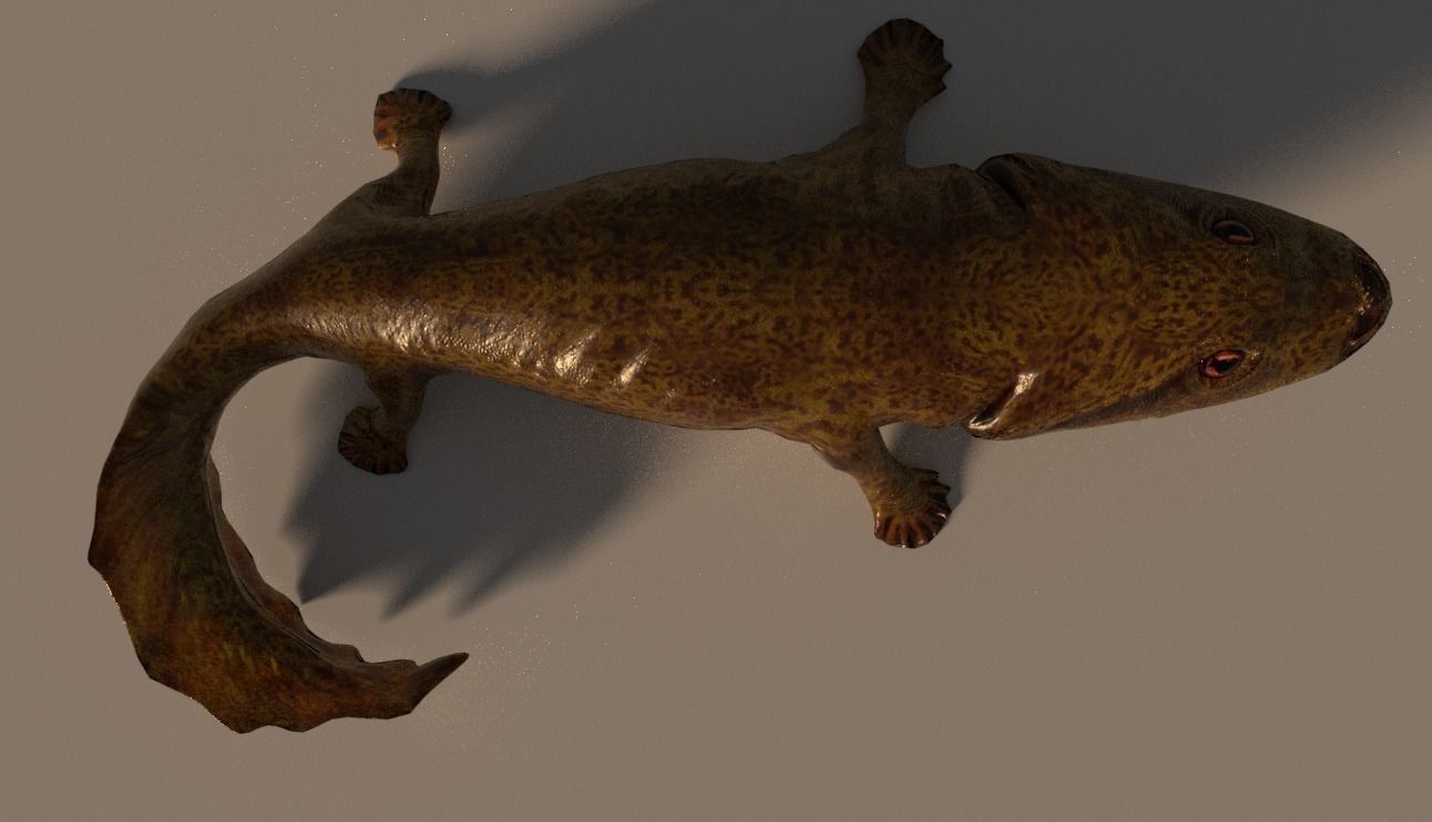 Acanthostega Rigged Low-poly 3D model_2