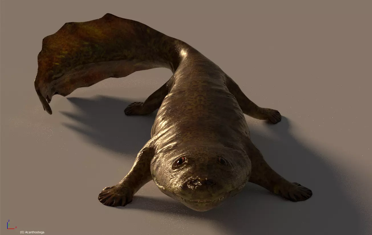 Acanthostega Rigged Low-poly 3D model_0