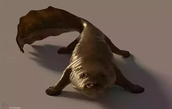 Acanthostega Rigged Low-poly 3D model