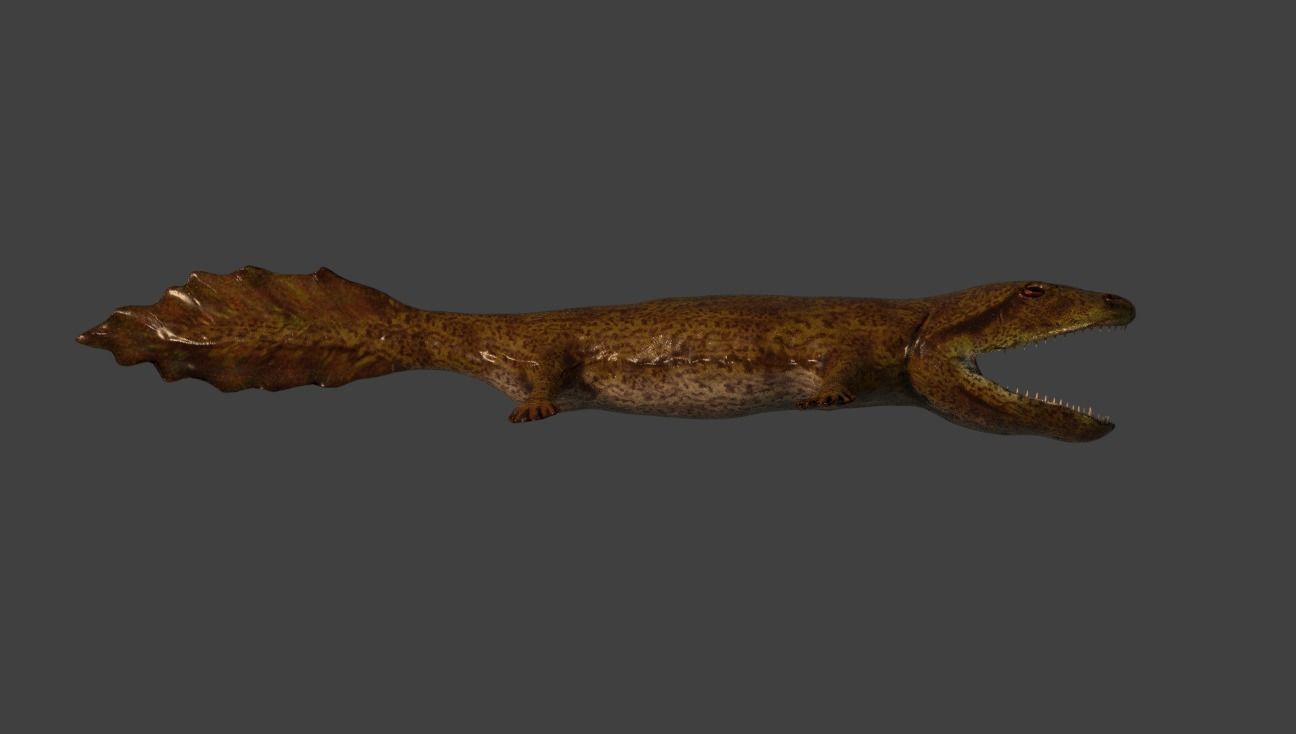 Acanthostega Rigged Low-poly 3D model_3