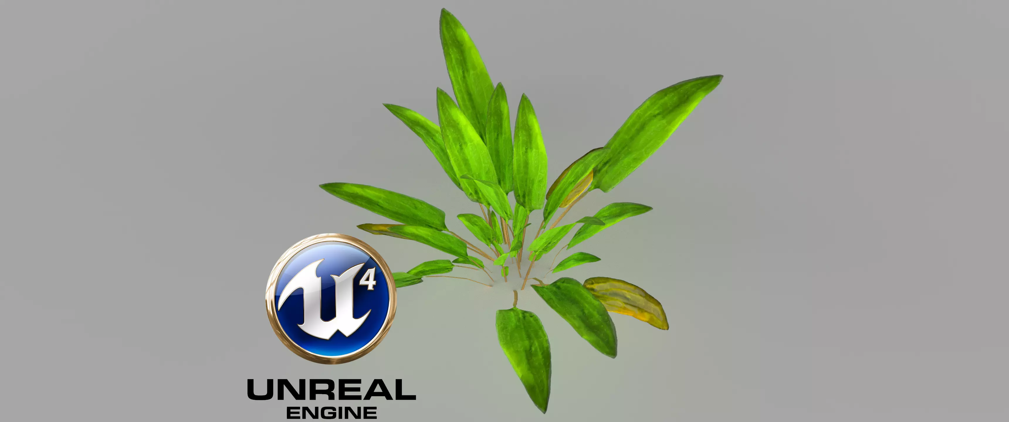 4x Cryptocoryne Vertex Animation Low-poly 3D model