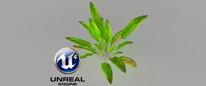 4x Cryptocoryne Vertex Animation