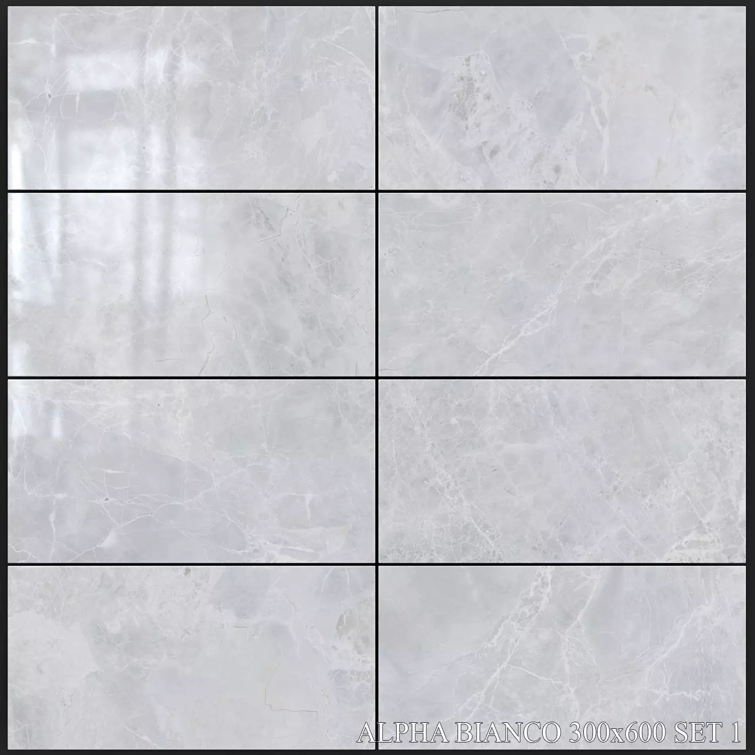 Yurtbay Seramik Alpha Bianco 300x600 Set 1 3D model_0