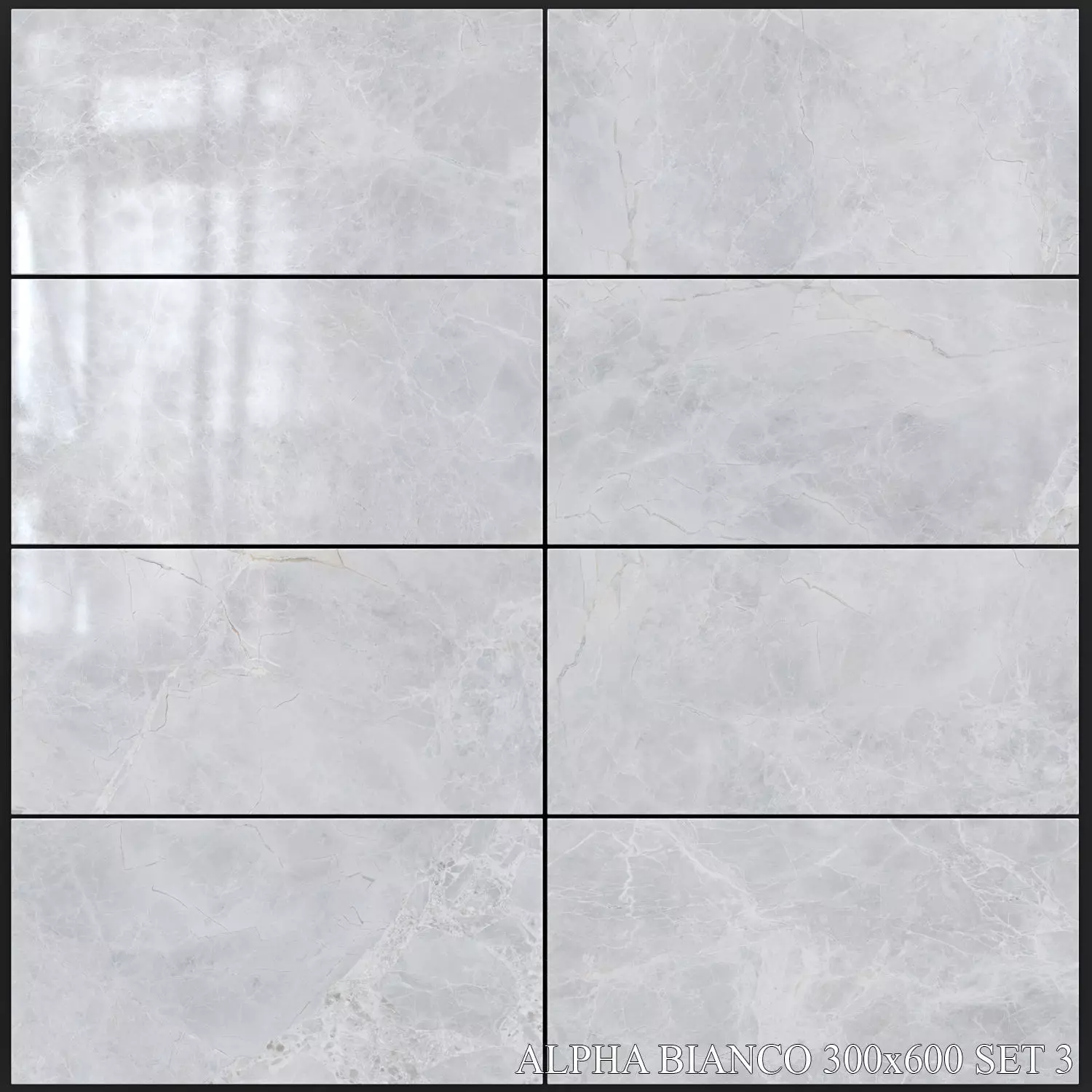 Yurtbay Seramik Alpha Bianco 300x600 Set 3 3D model_0