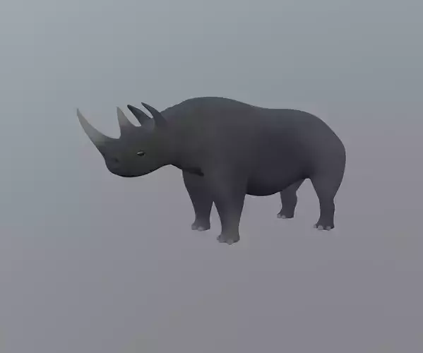 Rhinoceros 3D model