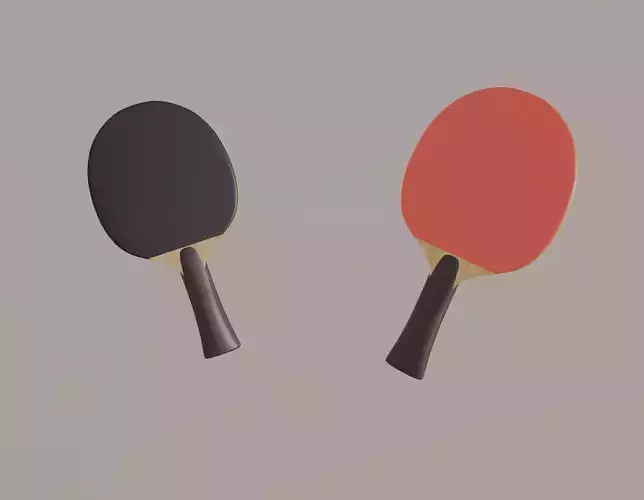 Table Tennis Bat