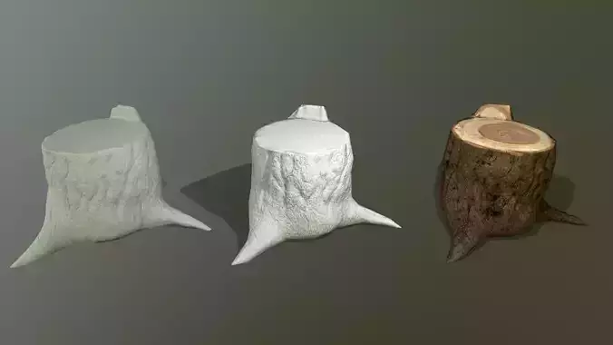 realistic  spruce stump for games