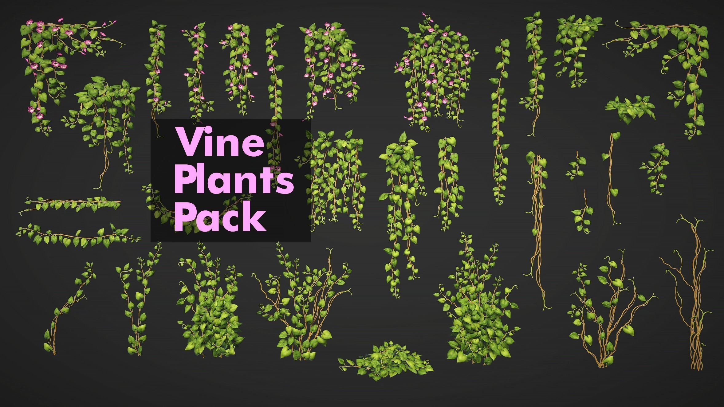 Vine Plants Pack Low-poly 3D model_0