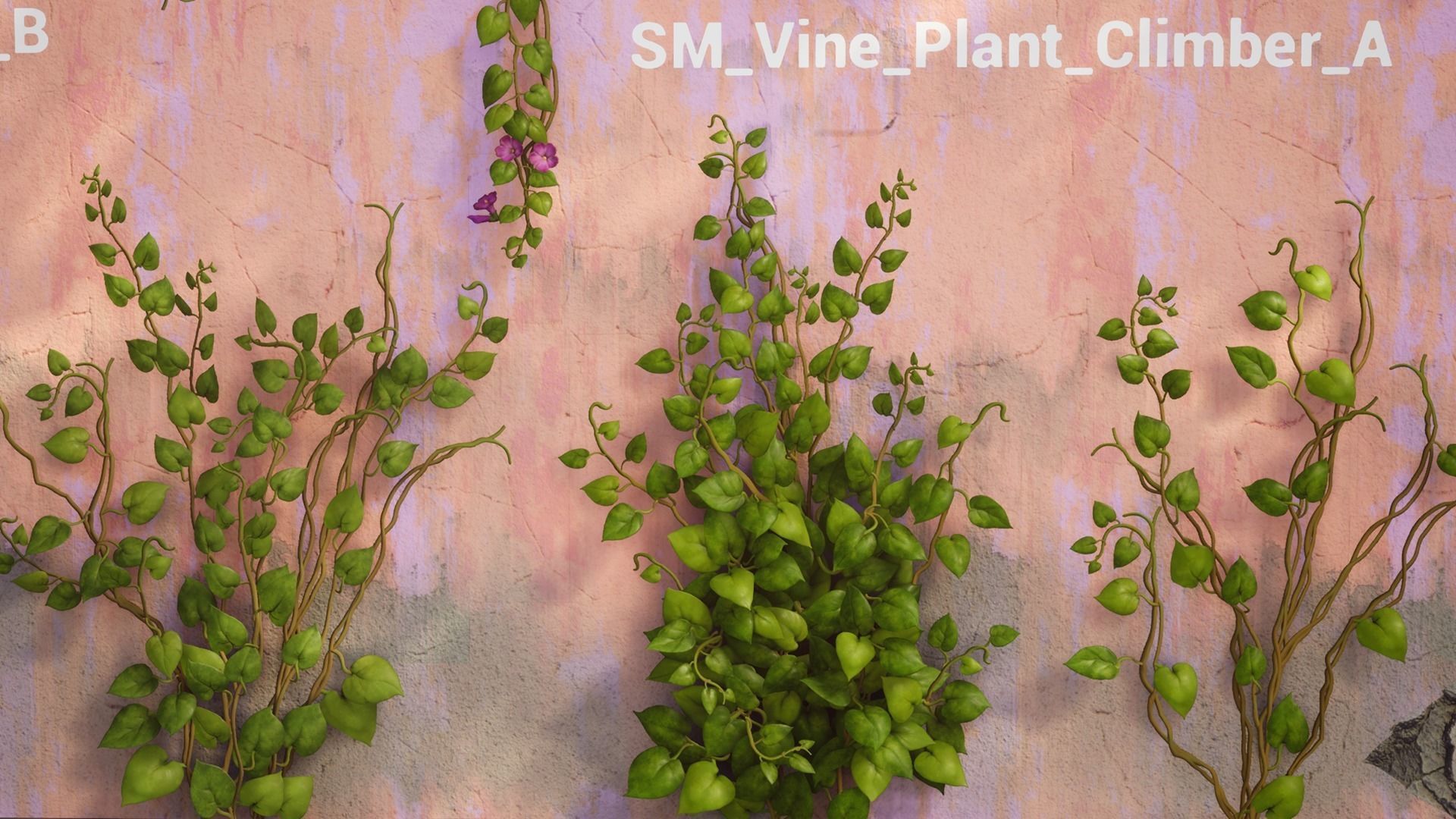 Vine Plants Pack Low-poly 3D model_7
