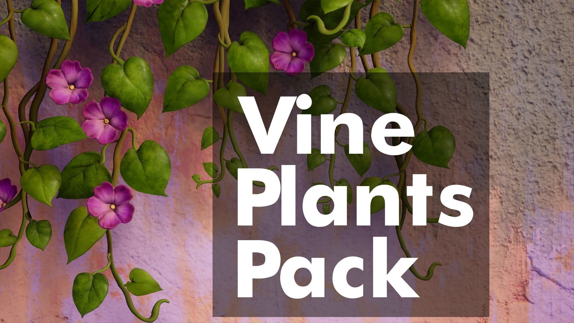 Vine Plants Pack Low-poly 3D model_1