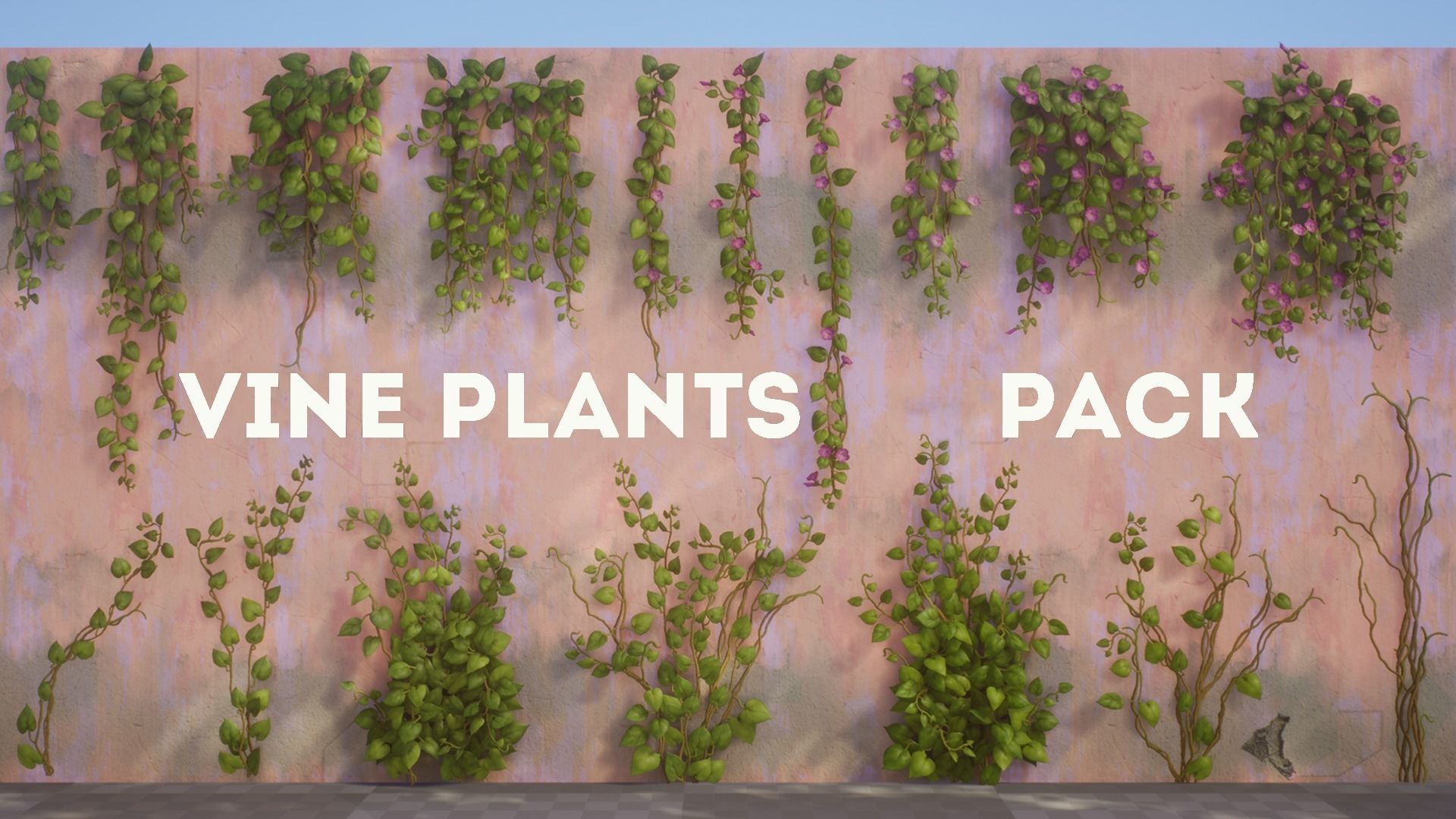 Vine Plants Pack Low-poly 3D model_2