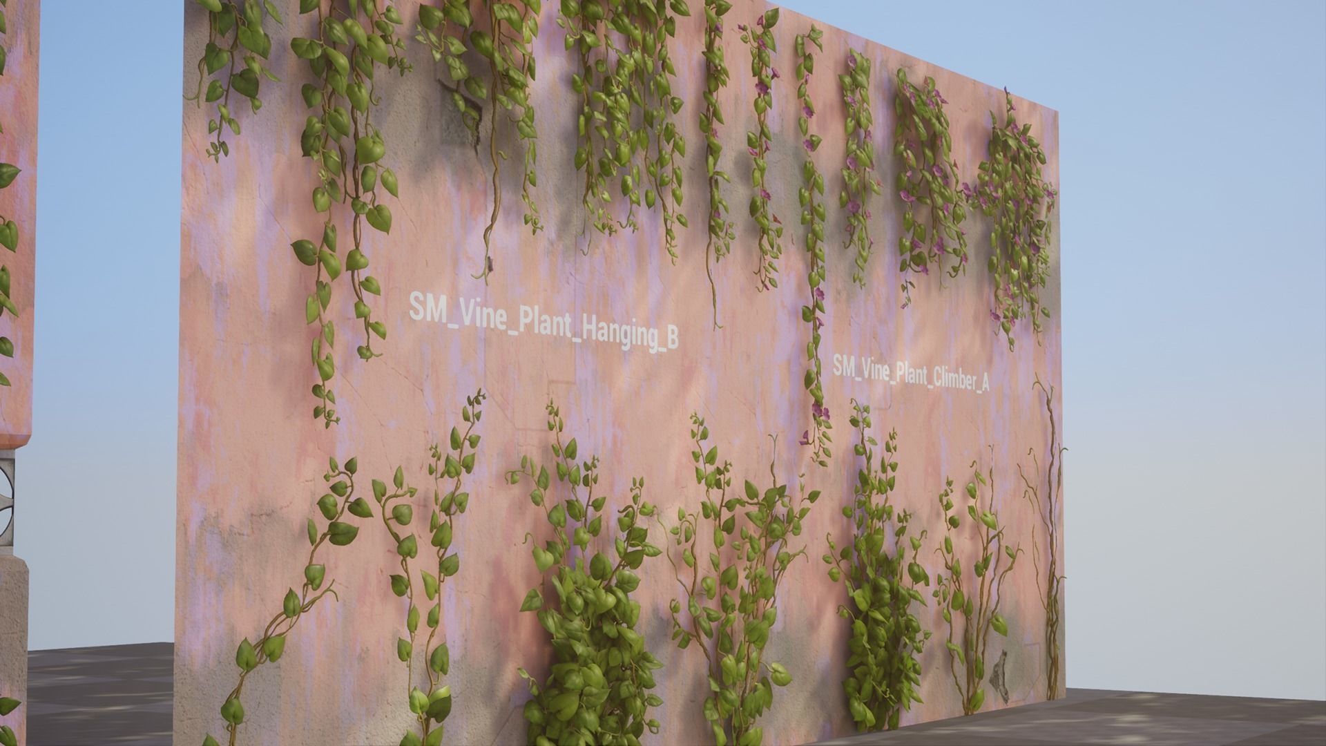 Vine Plants Pack Low-poly 3D model_6