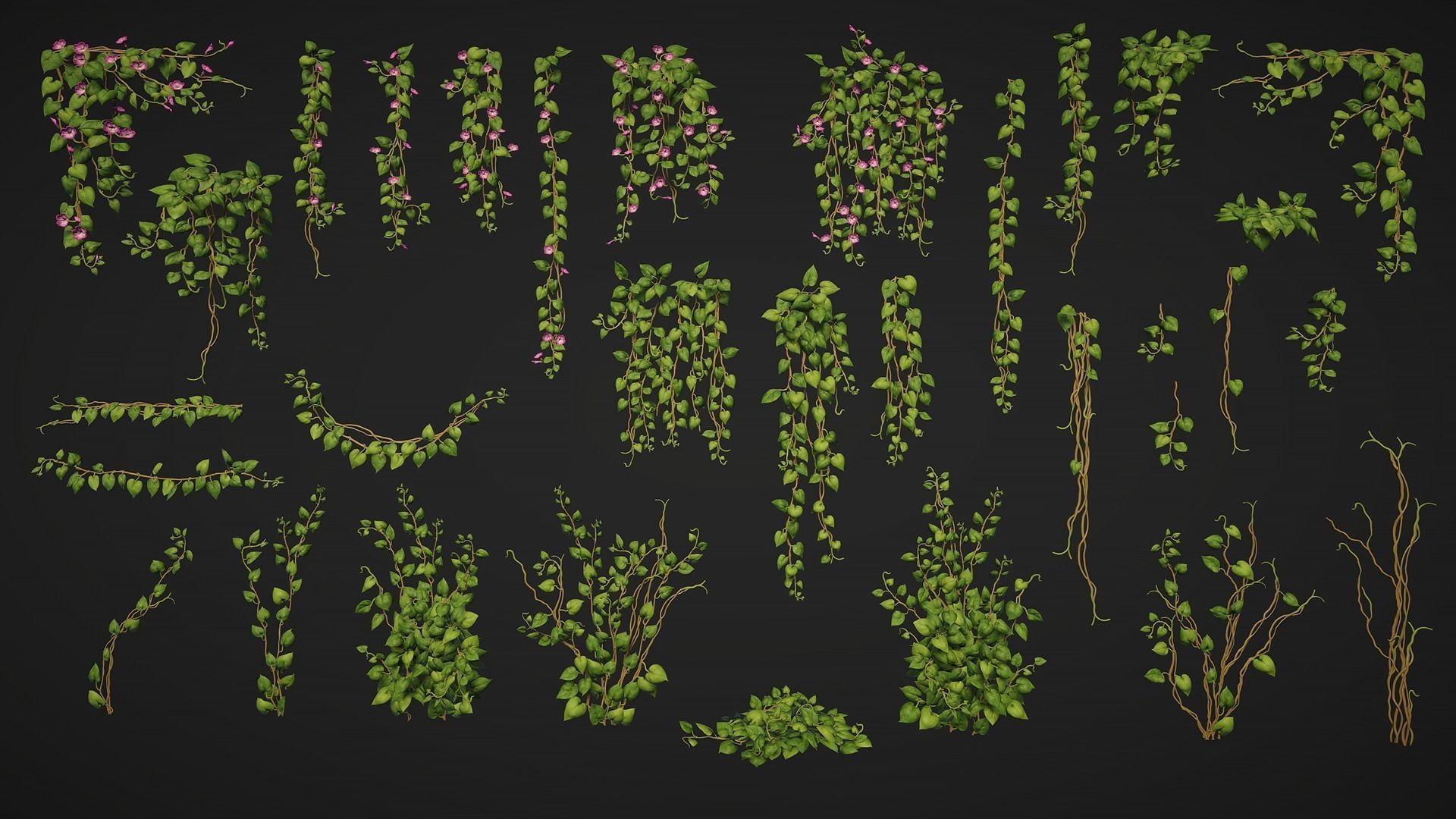 Vine Plants Pack Low-poly 3D model_3