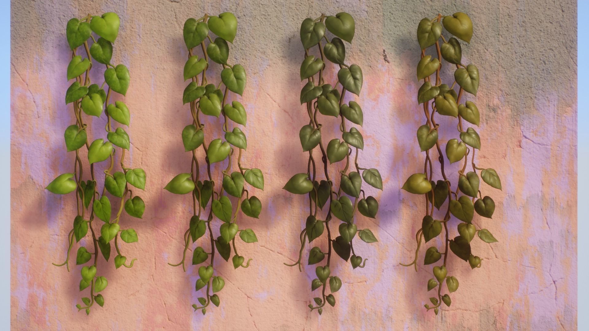 Vine Plants Pack Low-poly 3D model_14