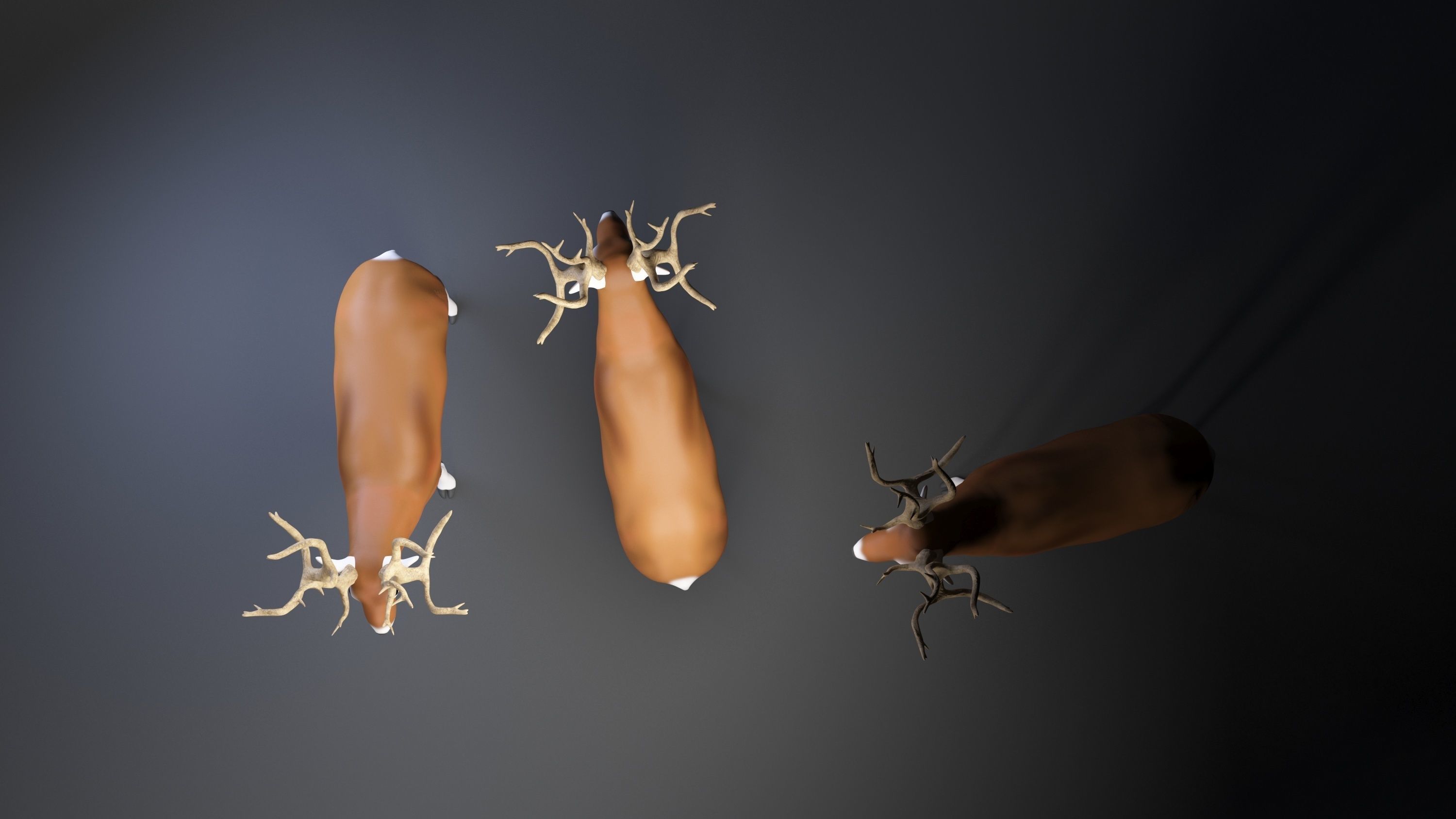 3d model  deer cartoon      - low poly  Low-poly 3D model_9