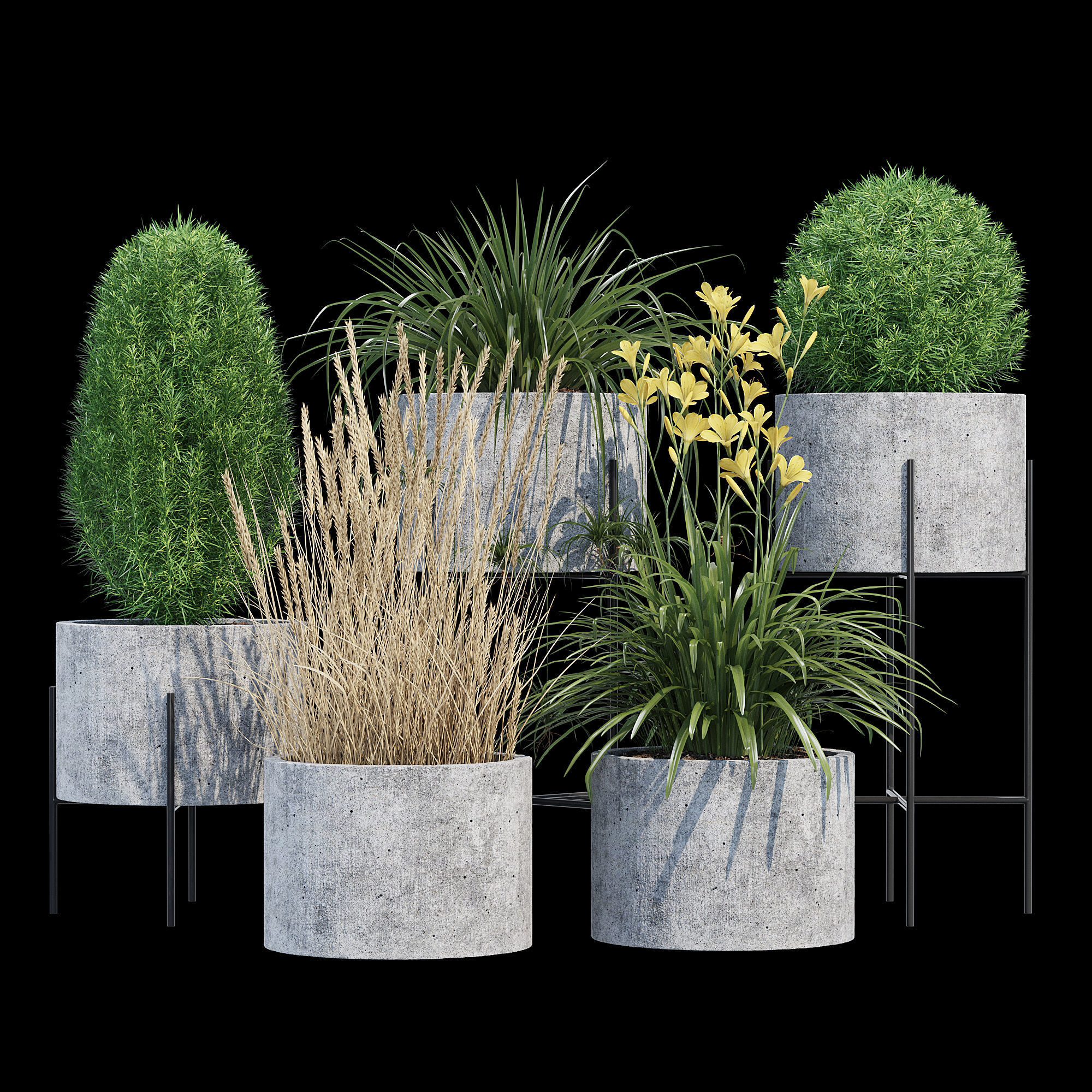 Cylinder linea 3D model_1