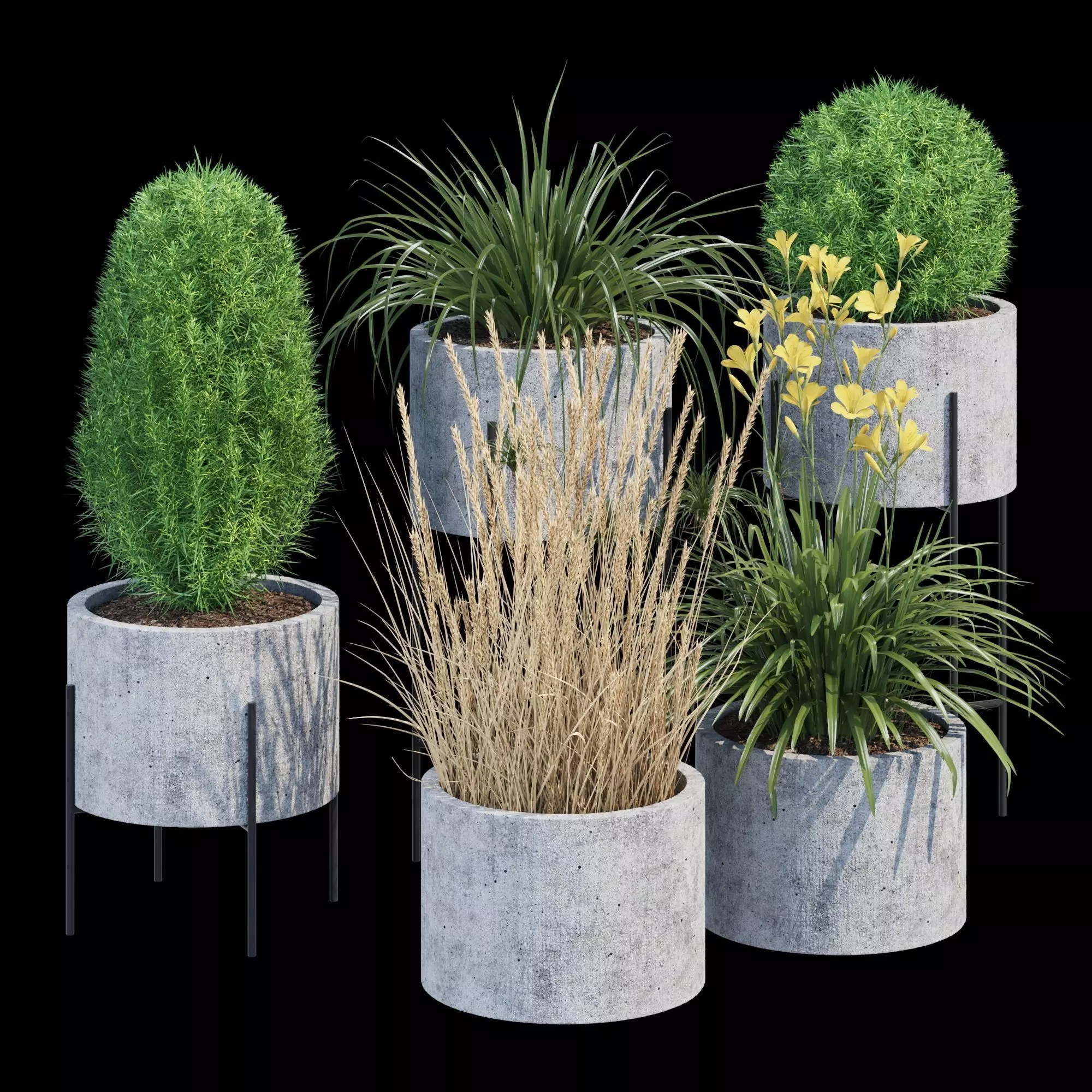 Cylinder linea 3D model_0