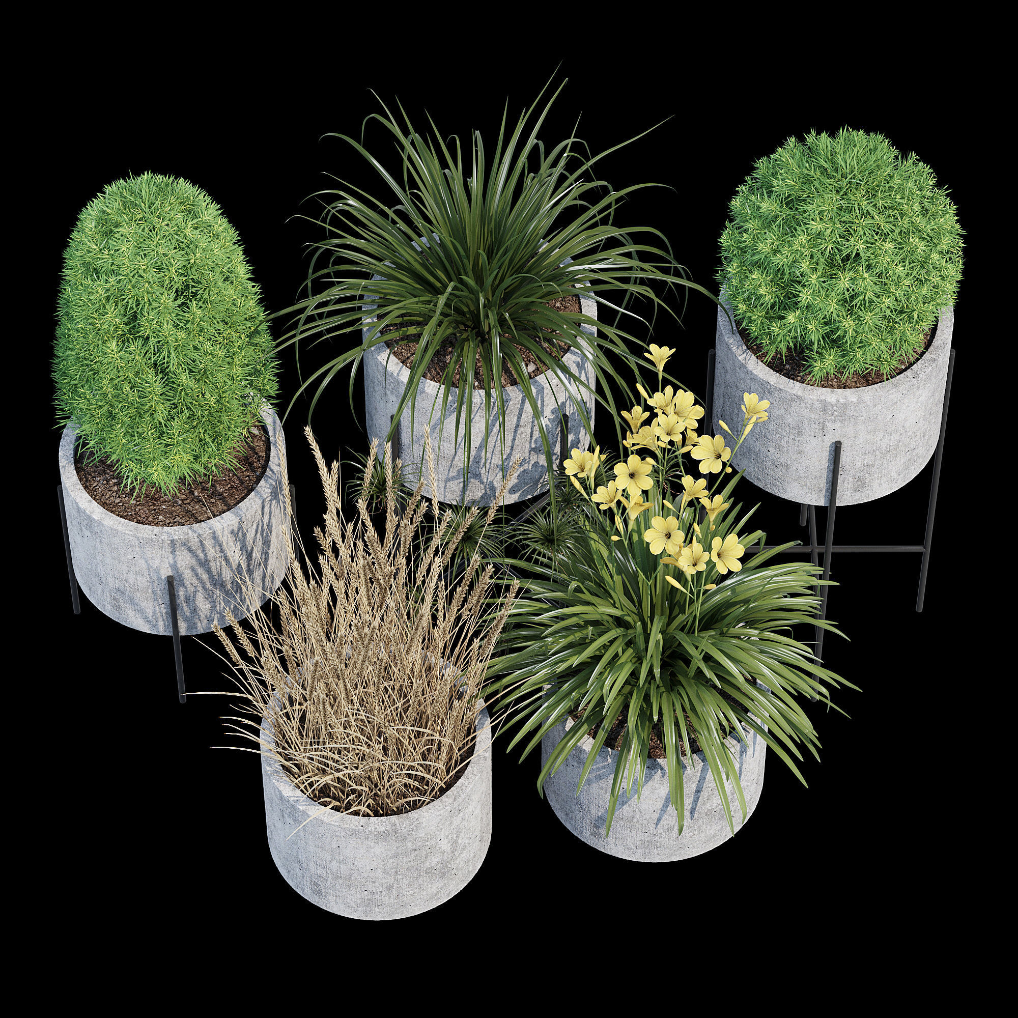 Cylinder linea 3D model_3