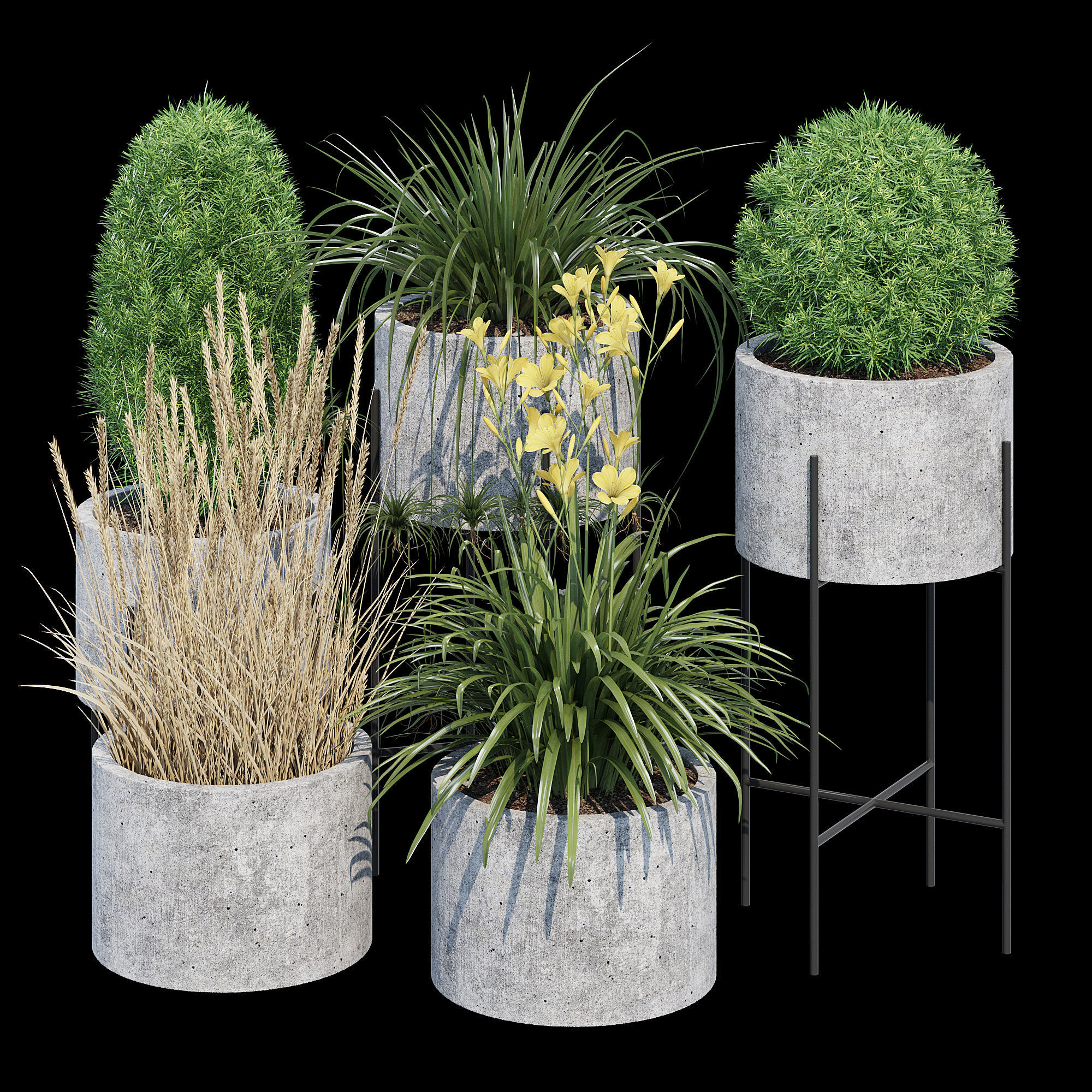 Cylinder linea 3D model_2