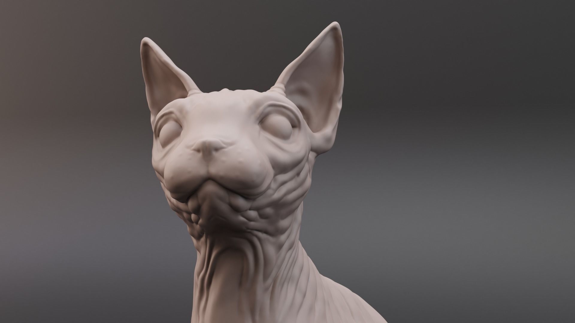 Sphynx cat 3D print model_9