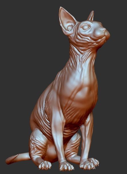 Sphynx cat 3D print model_12