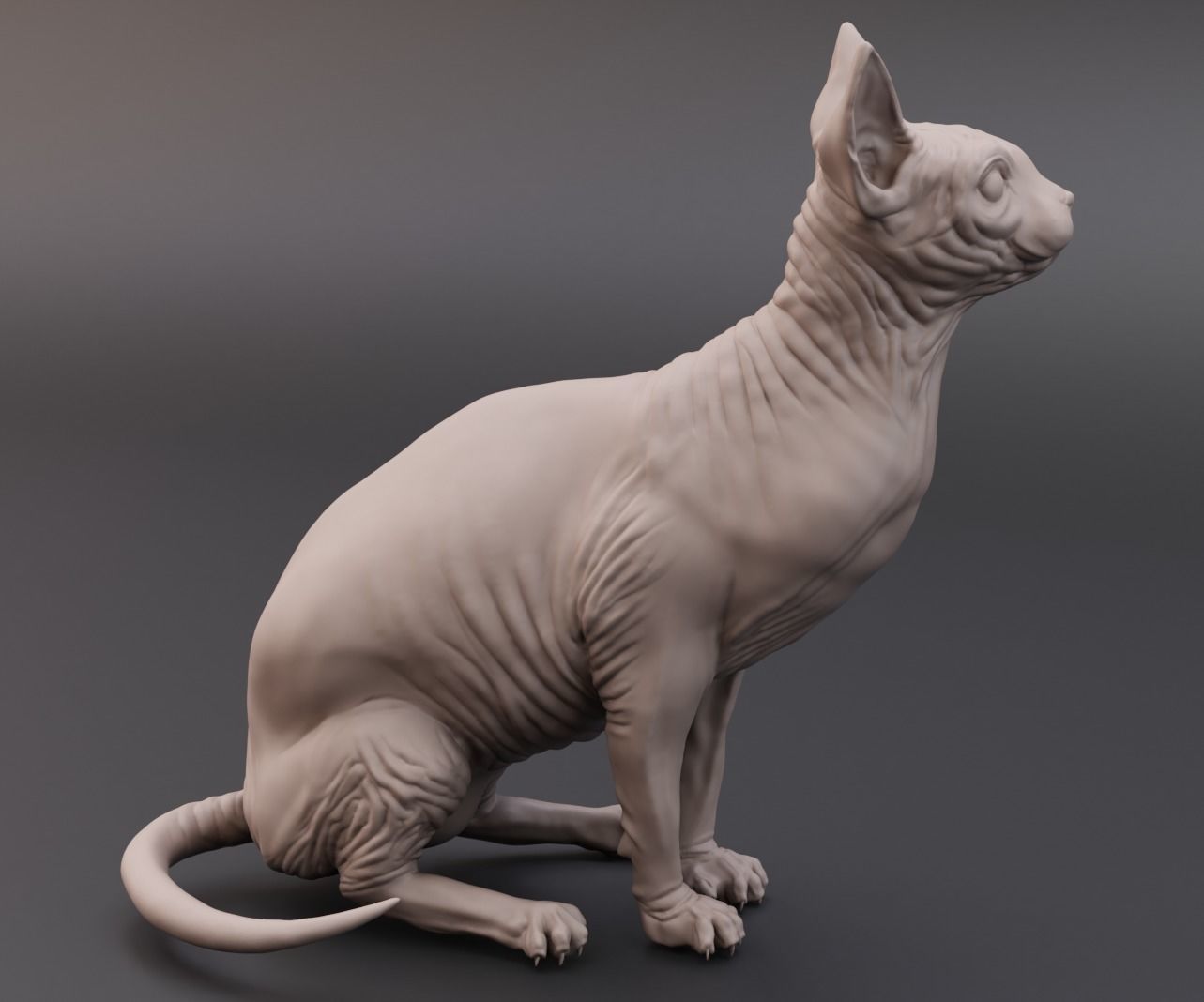 Sphynx cat 3D print model_3