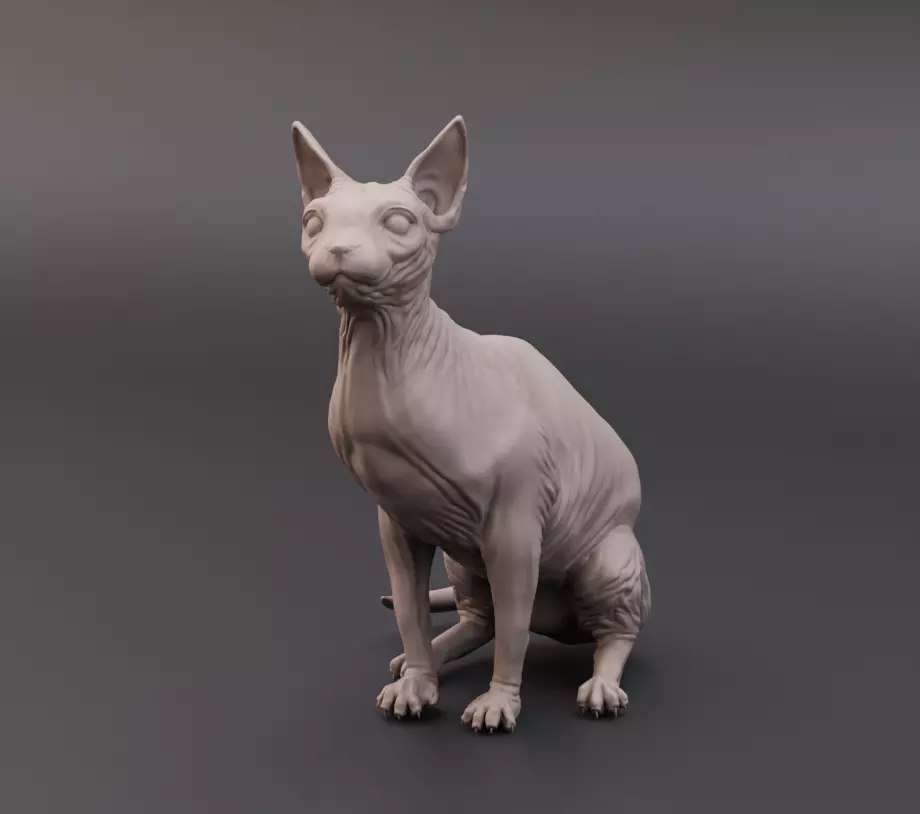 Sphynx cat 3D print model_0
