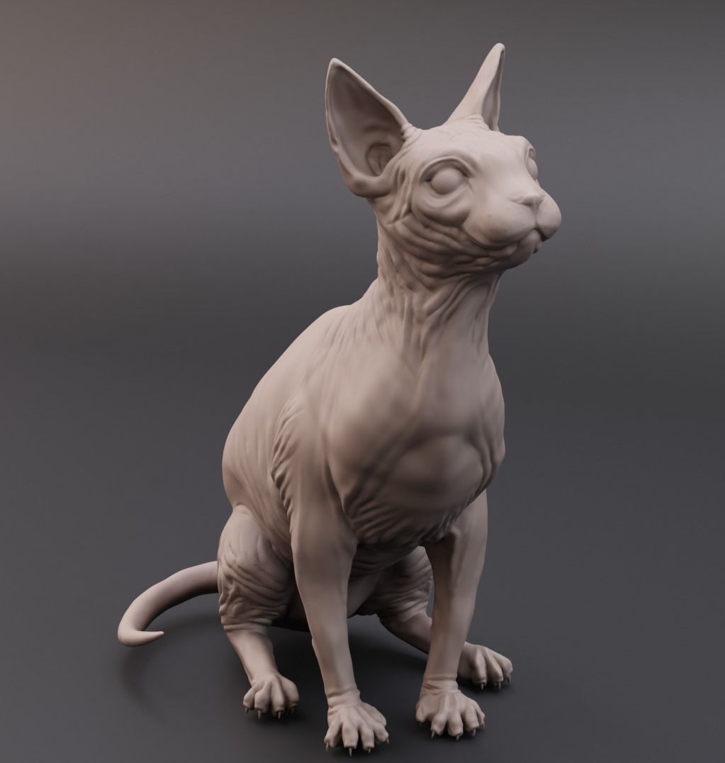 Sphynx cat 3D print model_2
