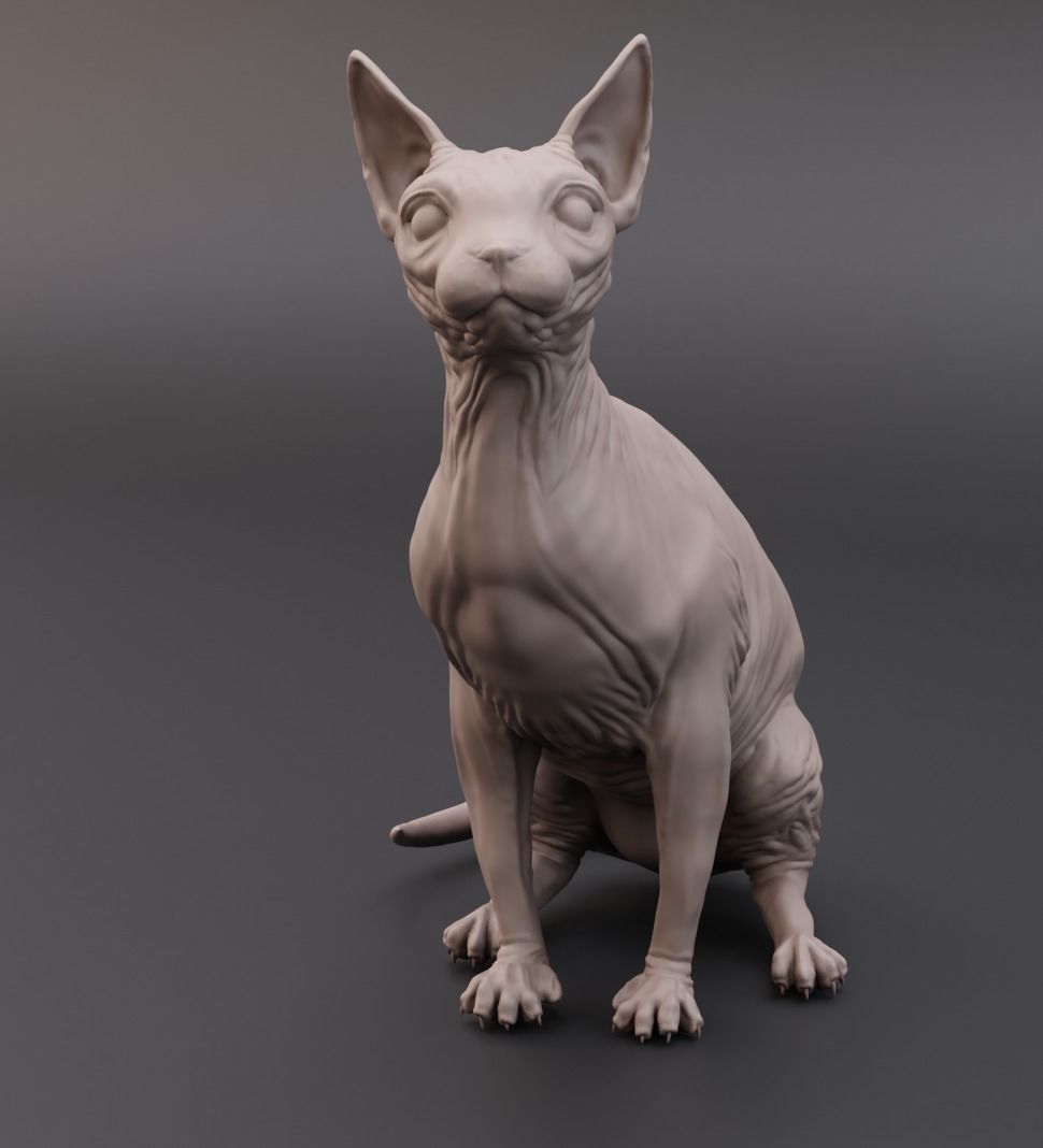 Sphynx cat 3D print model_1