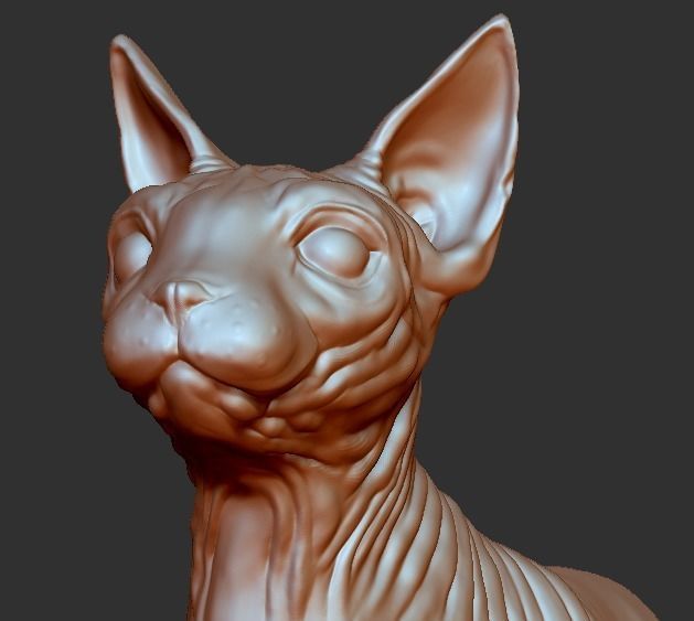 Sphynx cat 3D print model_10