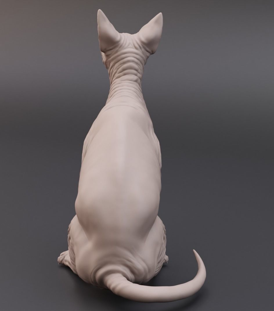 Sphynx cat 3D print model_5