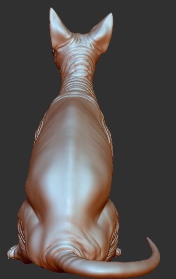 Sphynx cat 3D print model_14
