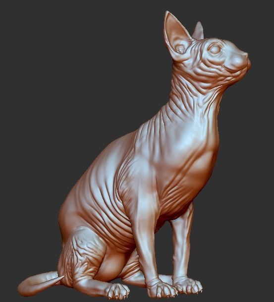 Sphynx cat 3D print model_13