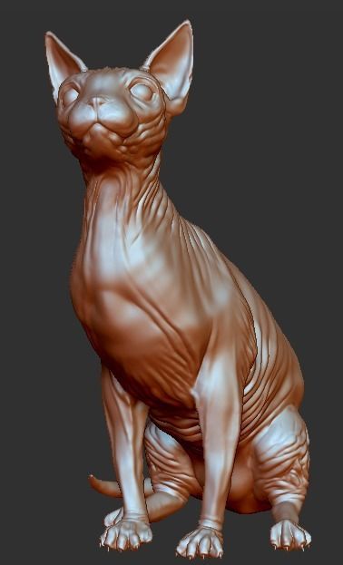 Sphynx cat 3D print model_11
