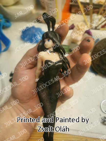 SEISHUN BUTA YAROU WA BUNNY GIRL SENPAI NO YUME WO MINAI 3D print model_3