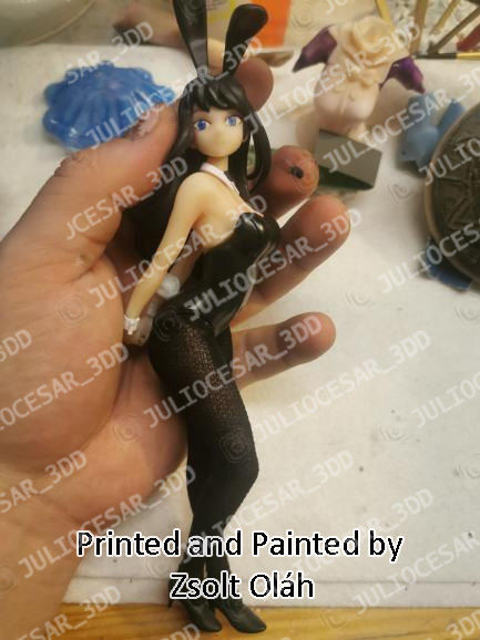 SEISHUN BUTA YAROU WA BUNNY GIRL SENPAI NO YUME WO MINAI 3D print model_2