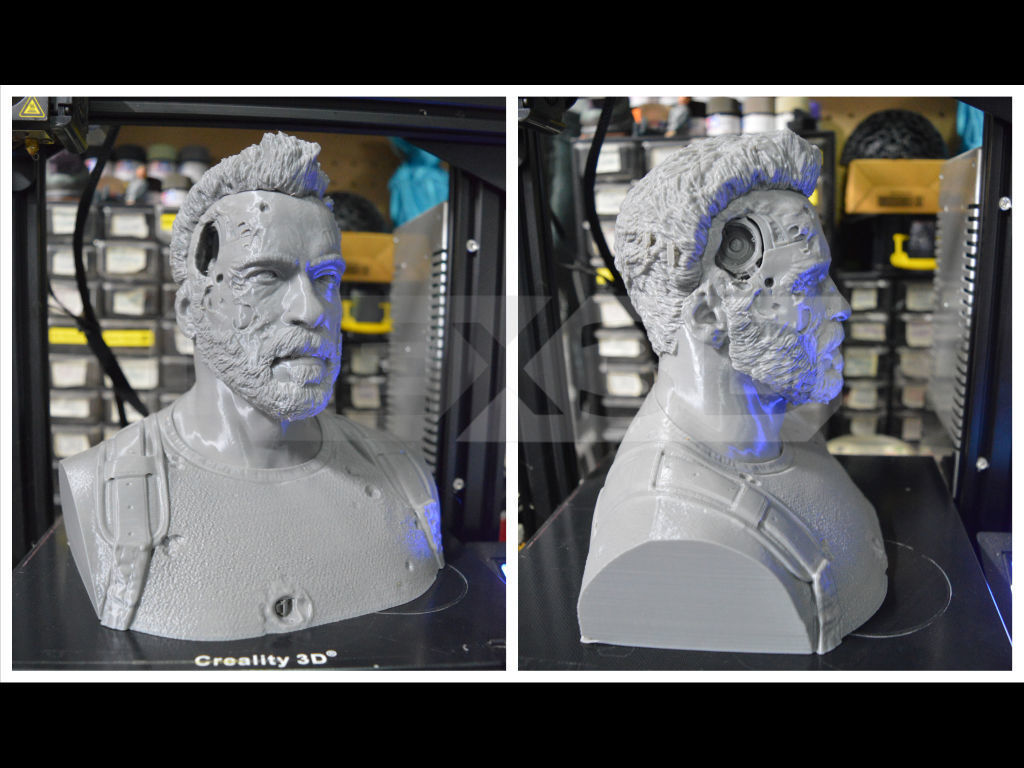 Terminator Dark Fate - Carl Bust 3D Print 3D print model_2