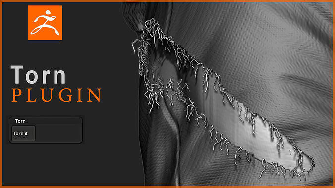 Torn it ZBrush Plugin 3D model