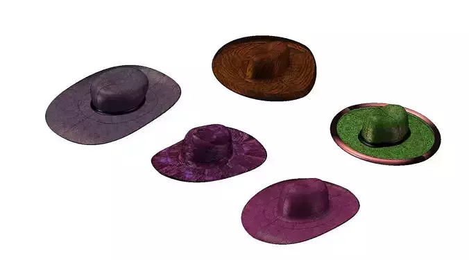 Hat designs Free 3D model