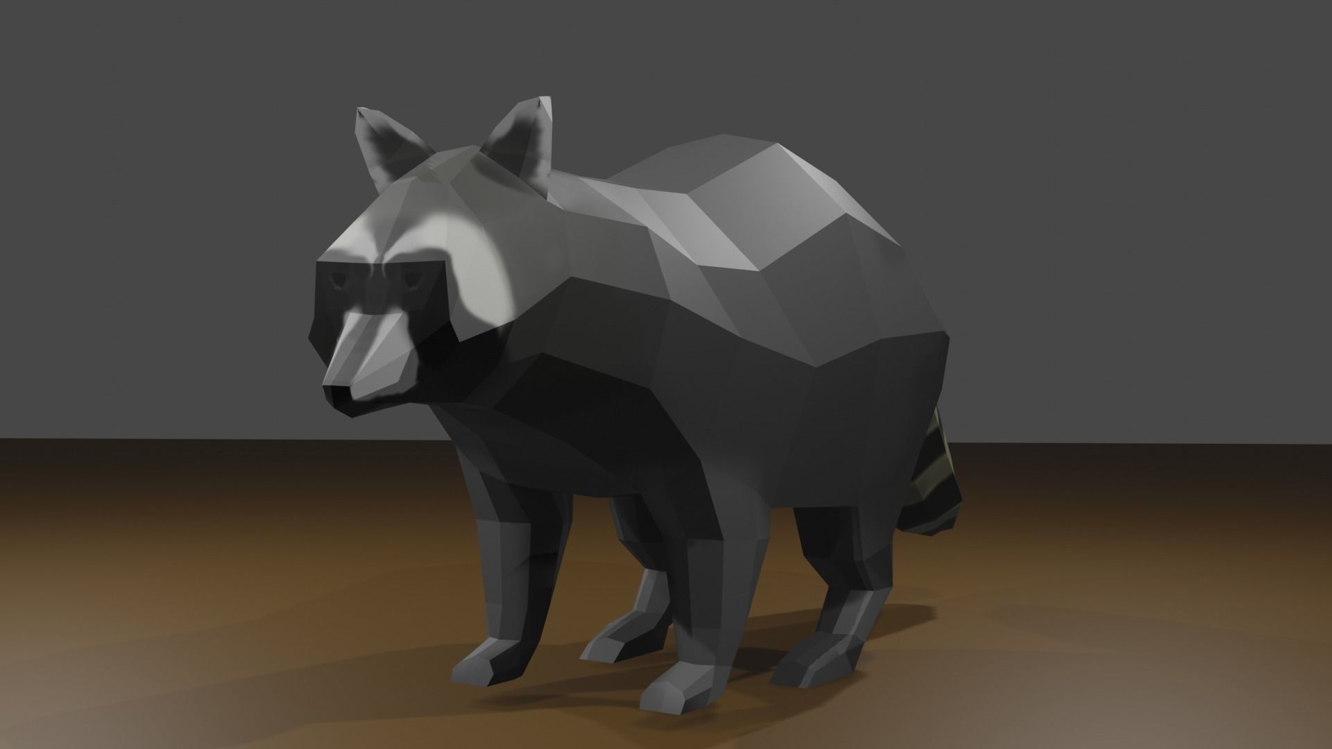 Raccon raccoon Low-poly 3D model_2