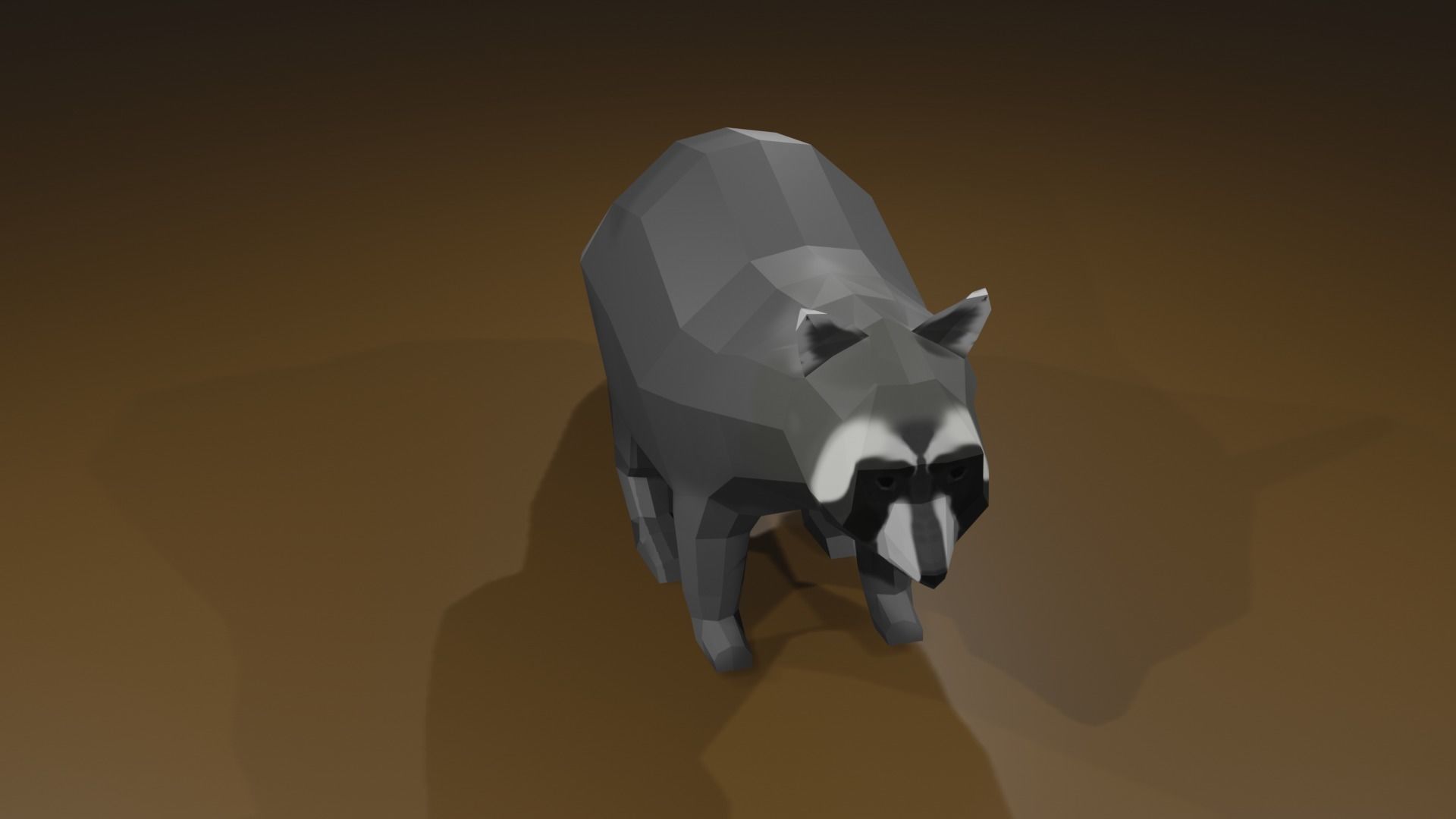 Raccon raccoon Low-poly 3D model_10
