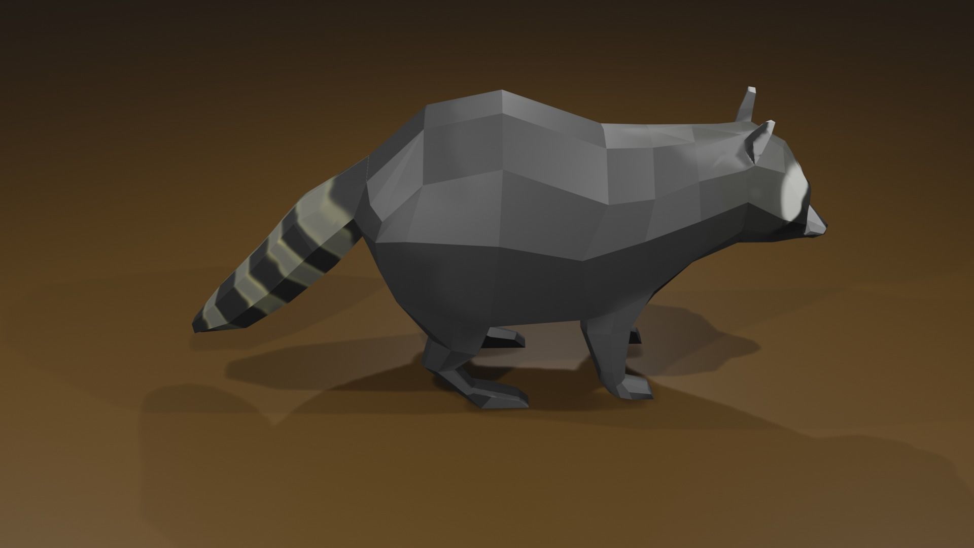 Raccon raccoon Low-poly 3D model_8