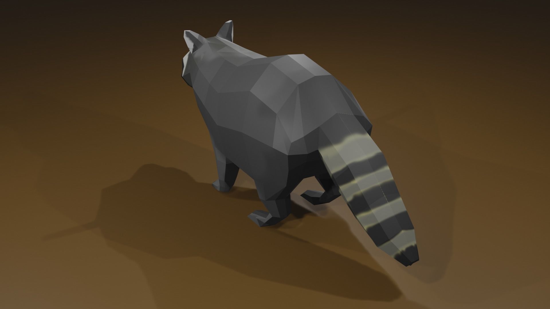 Raccon raccoon Low-poly 3D model_5