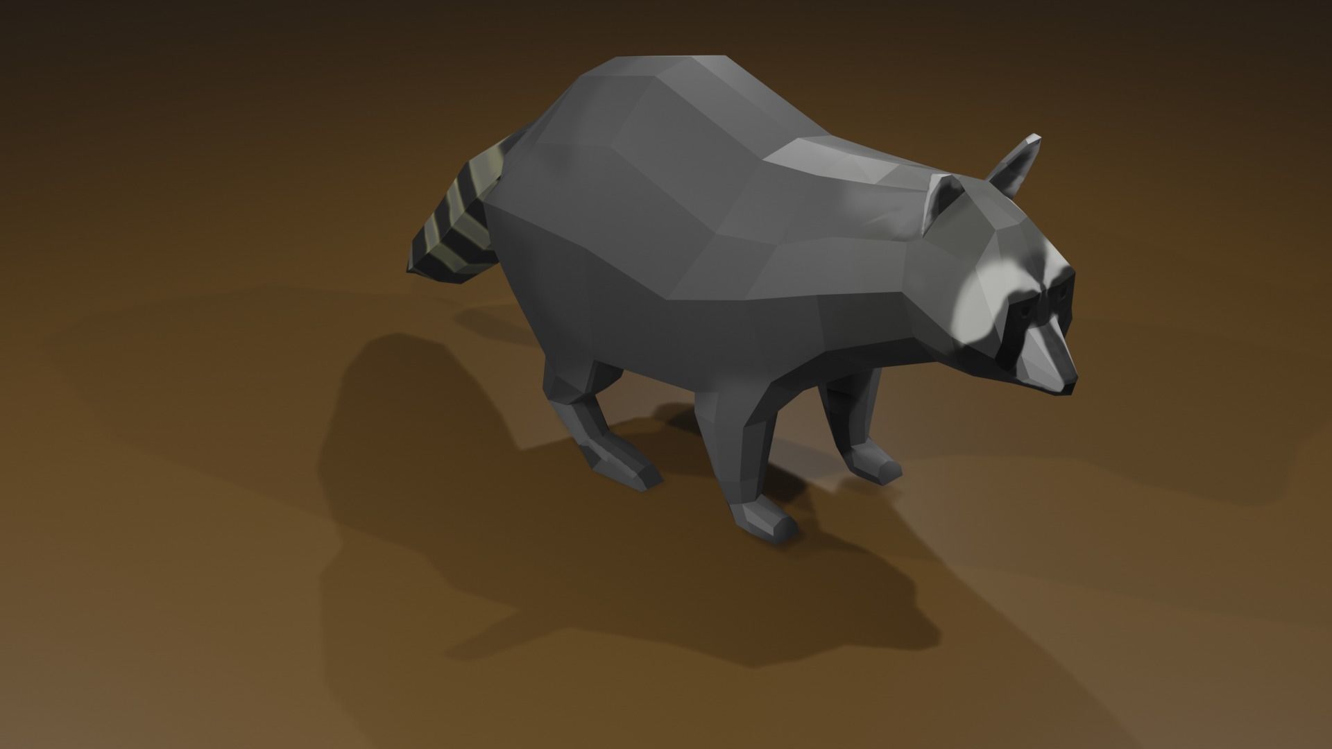 Raccon raccoon Low-poly 3D model_12