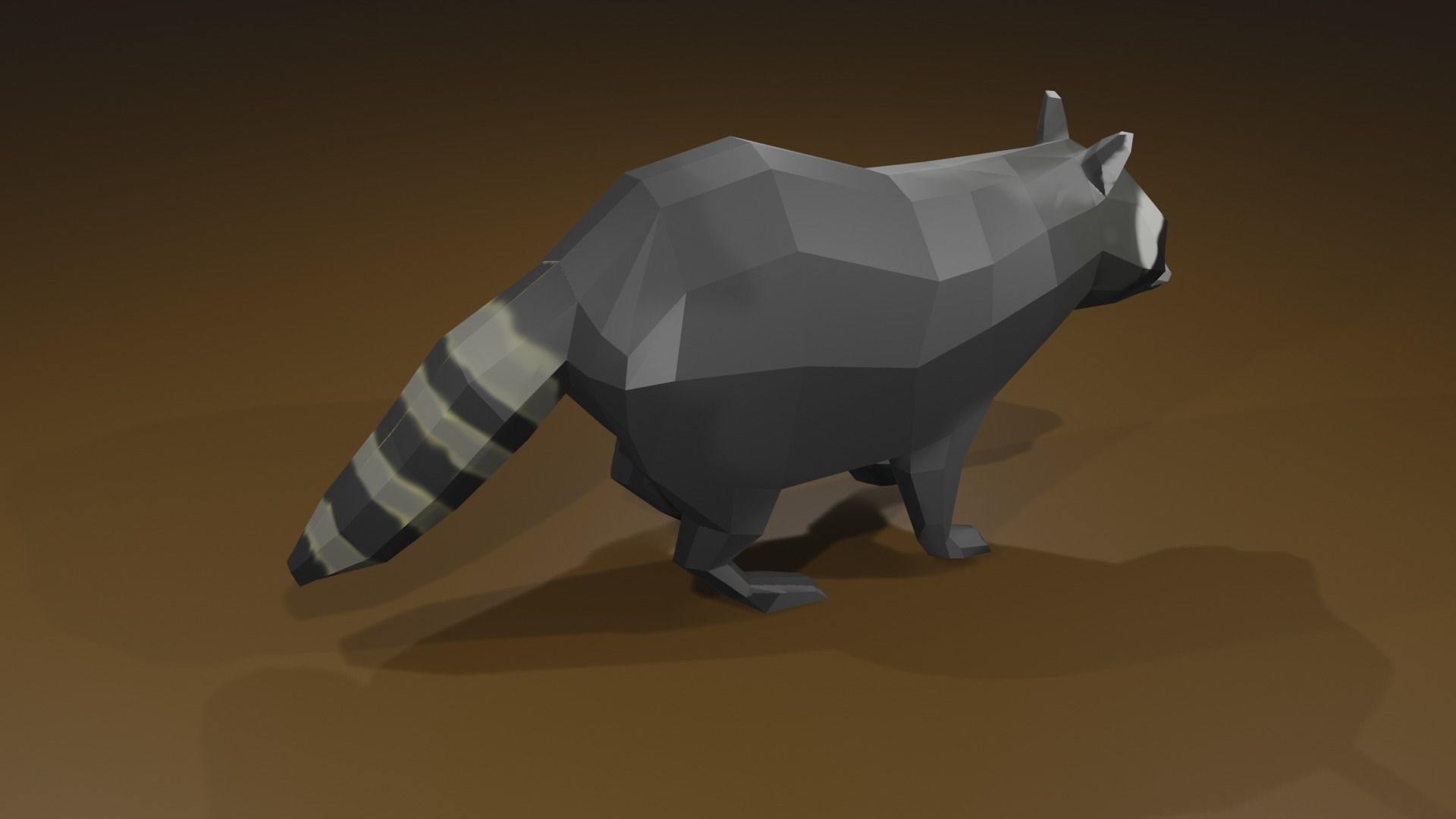 Raccon raccoon Low-poly 3D model_7