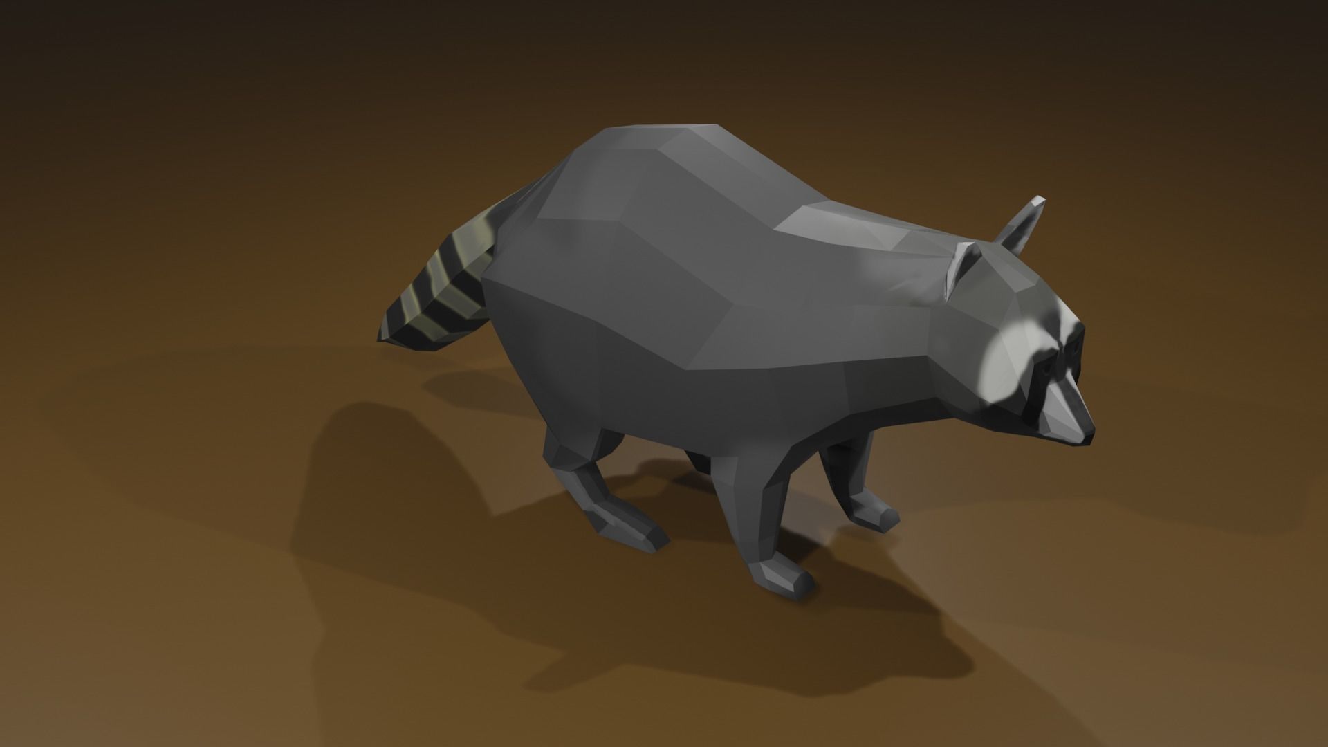 Raccon raccoon Low-poly 3D model_9