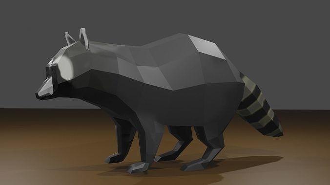 Raccon raccoon Low-poly 3D model